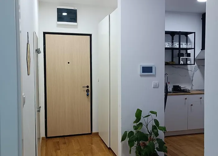 Markovic Rich Апартаменты Лозница