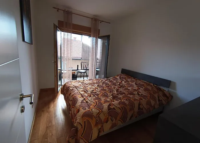 Markovic Rich * Лозница