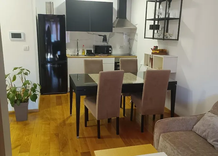 Markovic Rich Лозница